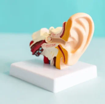 chs-about-1 chs-about-1